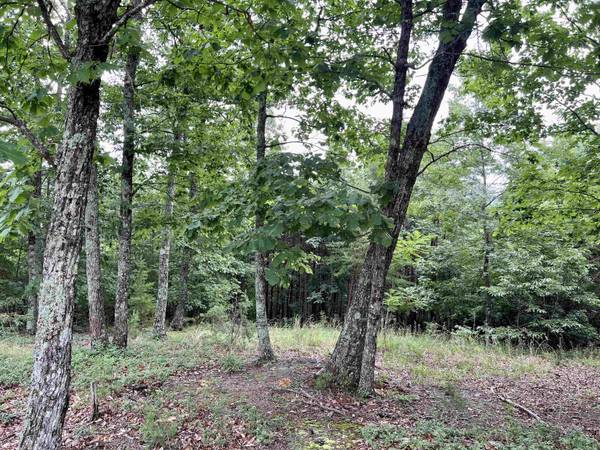 0 Timber Rock, Cleveland, GA 30528