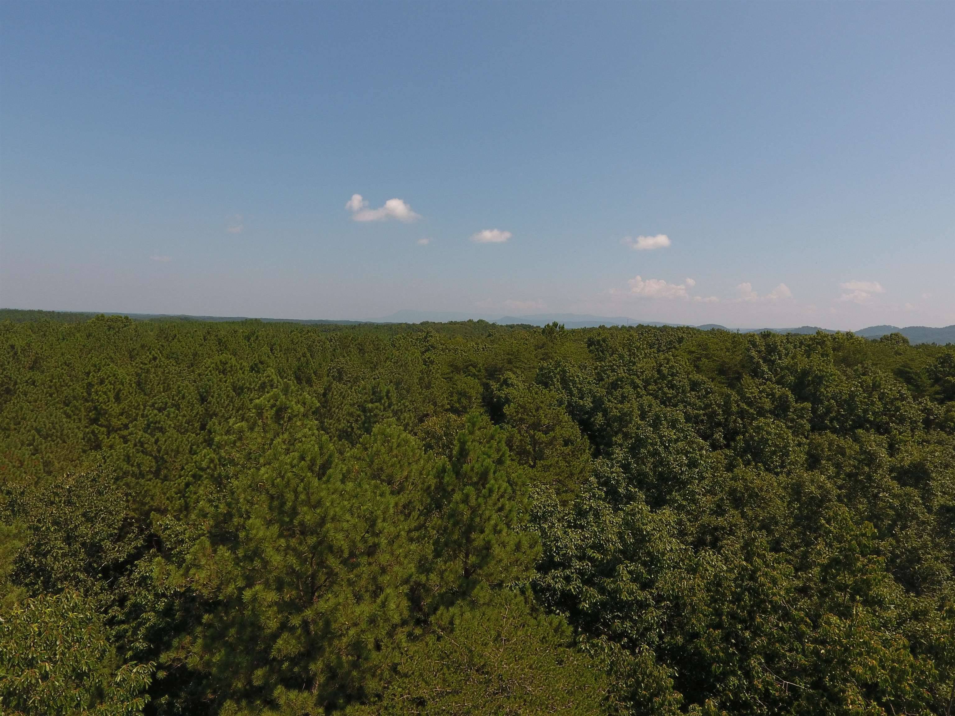 Ranger, GA 30734,0 Pack RD NE #9628