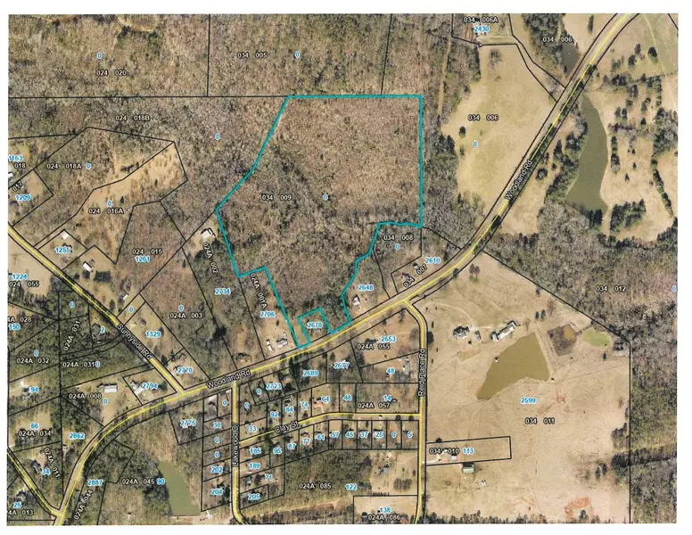 33.69 Acres Woodland Rd, Thomaston, GA 30286