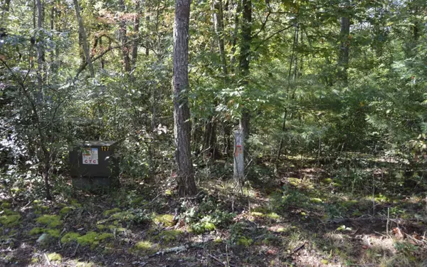 Warne, NC 28909,#1 Willow Ridge 7a