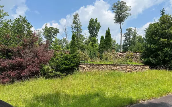 Murphy, NC 28906,LOT 17 Bear Creek