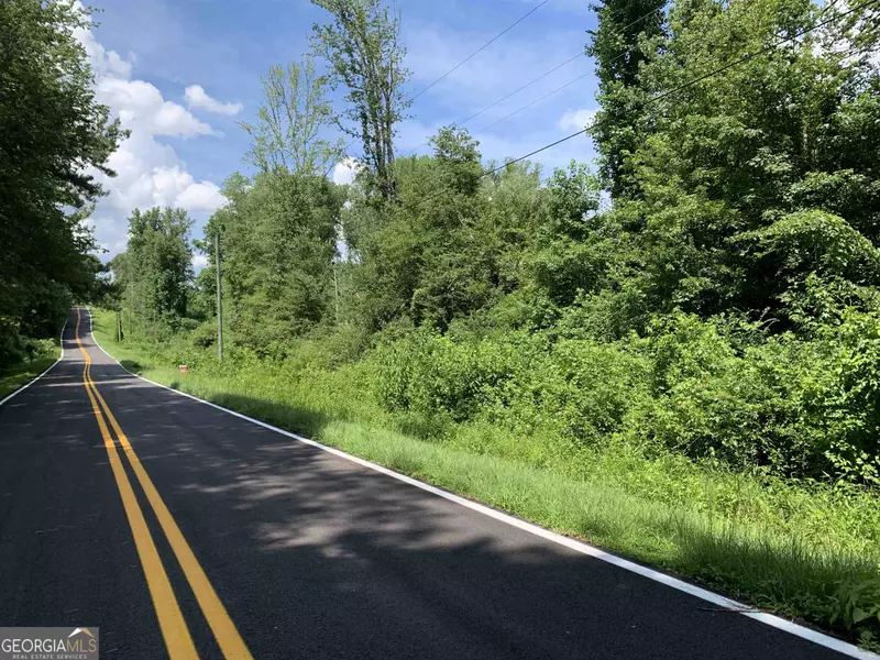 0 Gum Creek RD, Roopville, GA 30170