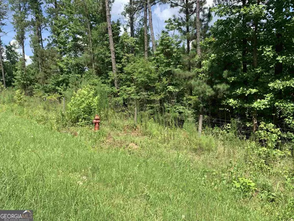 Roopville, GA 30170,0 Gum Creek RD