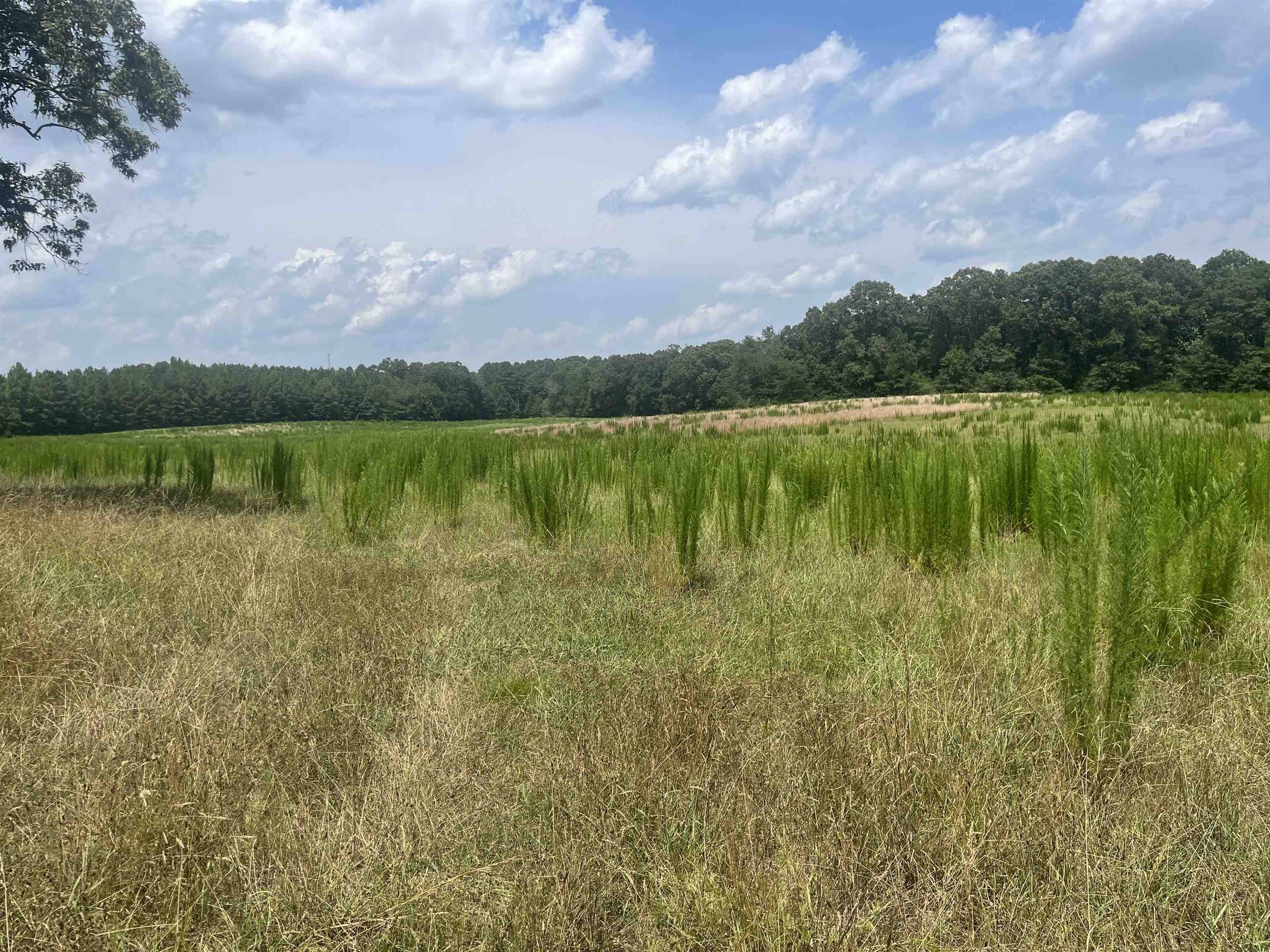Aragon, GA 30104,0 Peeples RD