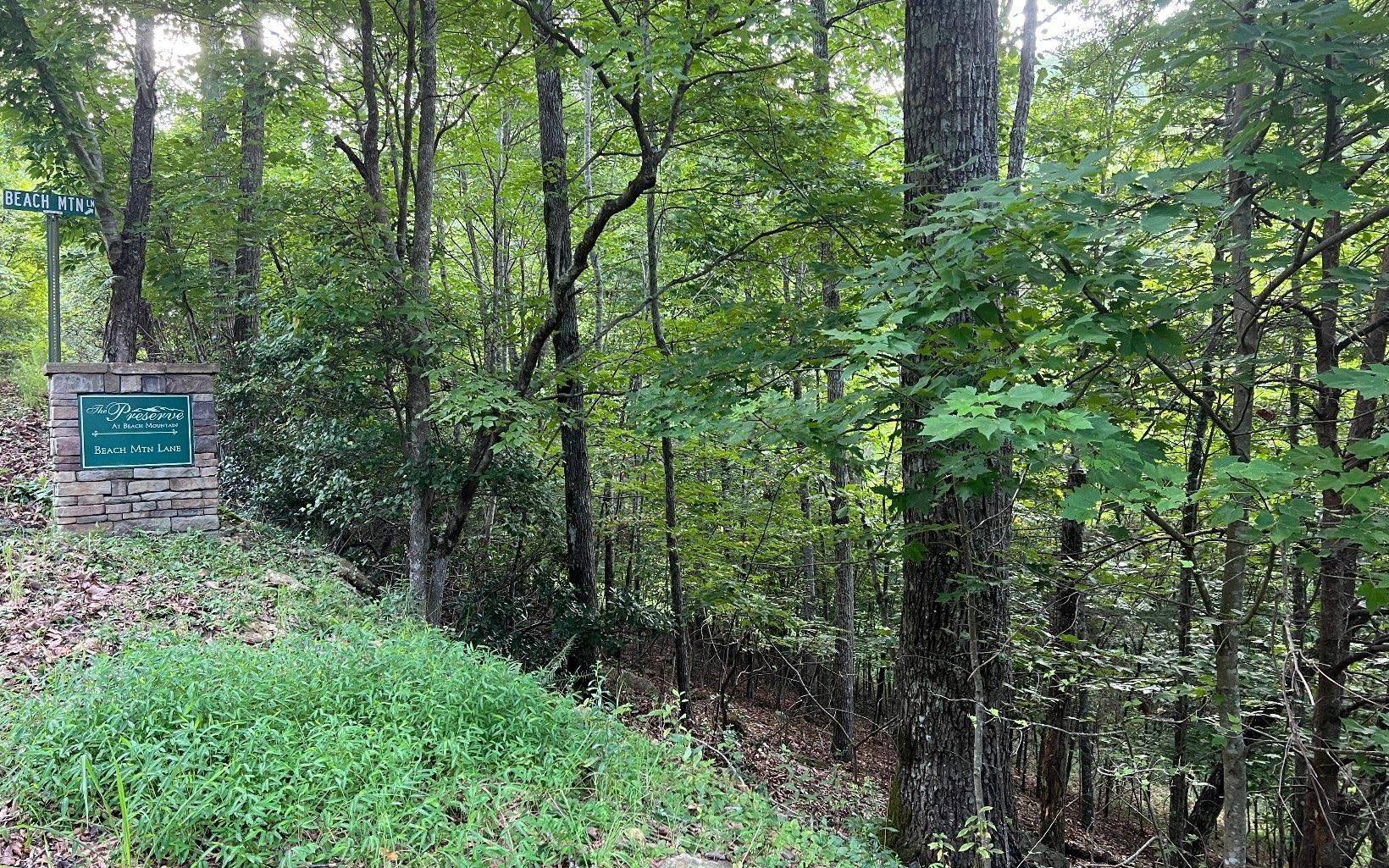 Brasstown, NC 28902,LOT 13 Preserve At Beach Mountain