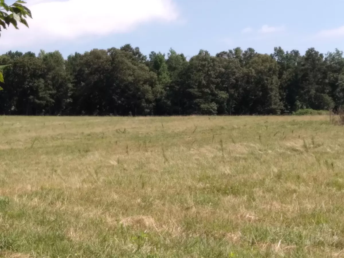 Muscadine, AL 36269,1280 Co Rd 667