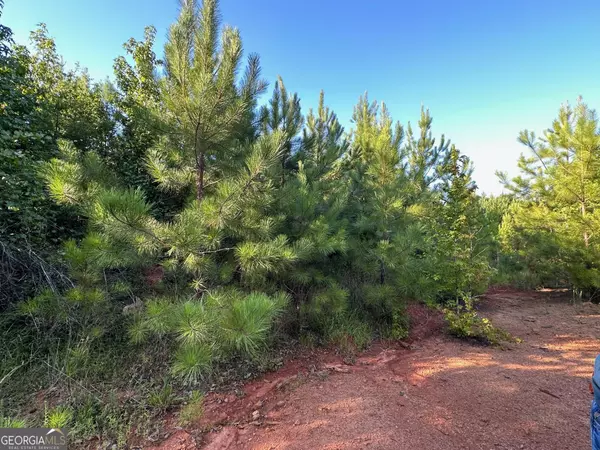 Thomaston, GA 30286,39.6 AC Kendall DR