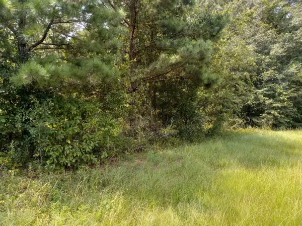 East Dublin, GA 31027,LOT 150 Thundering Springs/south Lake