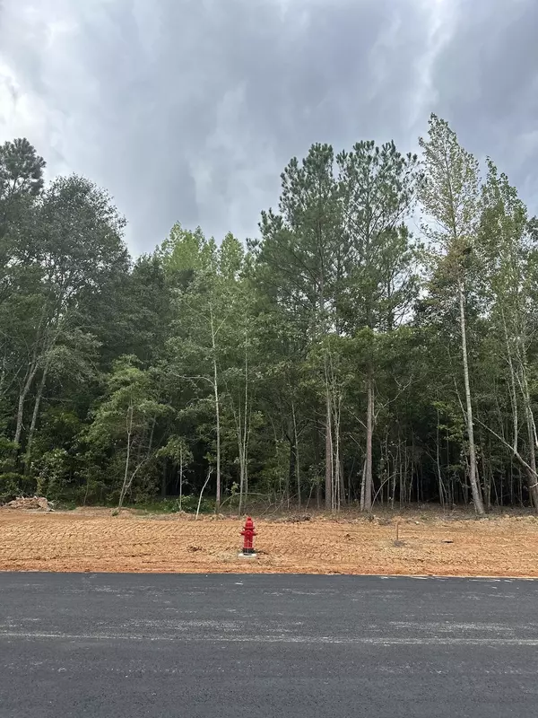 Bethlehem, GA 30620,LOT 4 Blake Lane