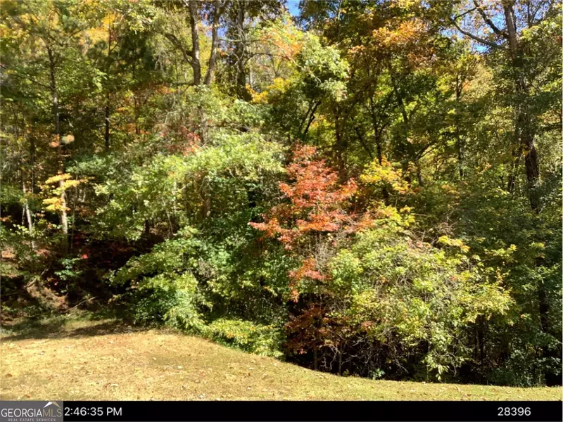 LOT 168 Mountain Creek Hollow, Talking Rock, GA 30175