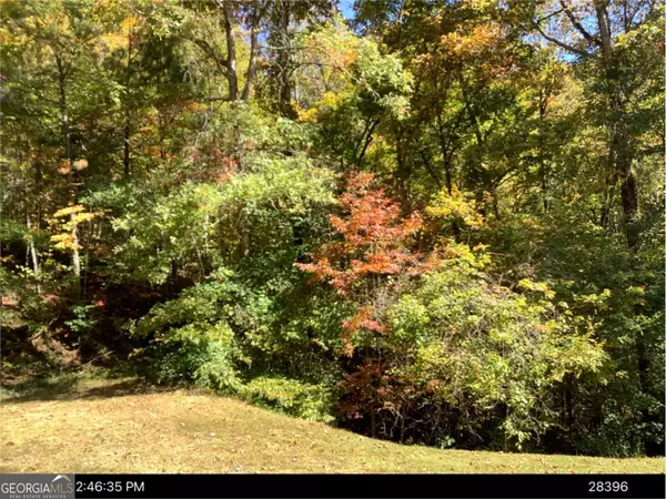 LOT 168 Mountain Creek Hollow DR #168, Talking Rock, GA 30175