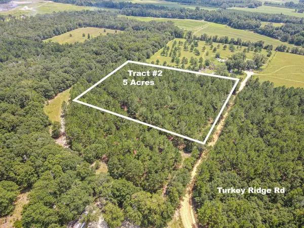 Metter, GA 30439,TRACT TWO AND T Turkey Ridge RD