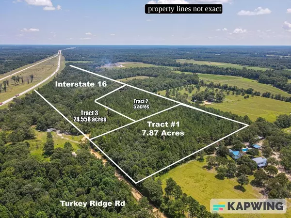 TRACT TWO AND T Turkey Ridge, Metter, GA 30439