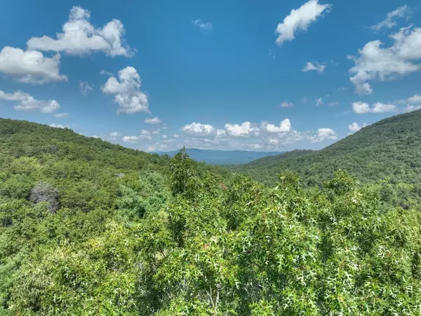 Ellijay, GA 30536,LOT C136 Walnut Mountain