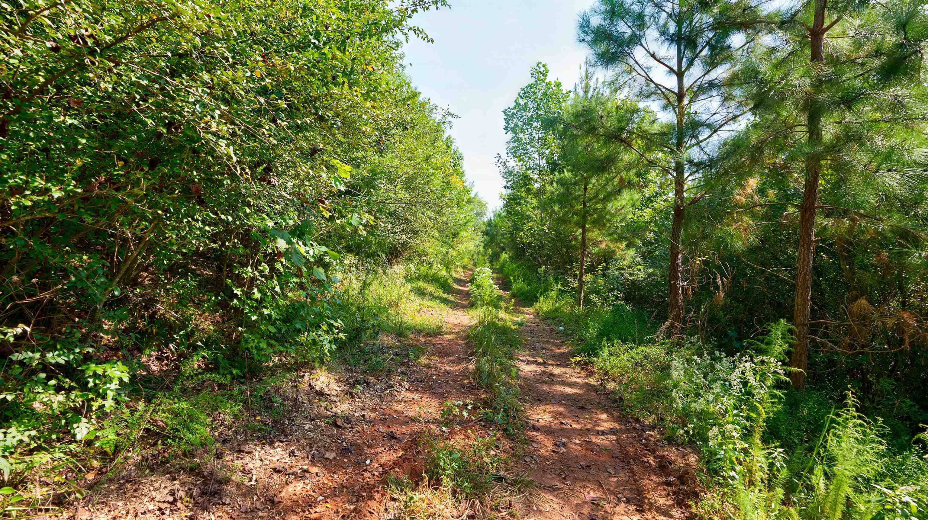 Homer, GA 30547,0 Mccoy Bridge RD