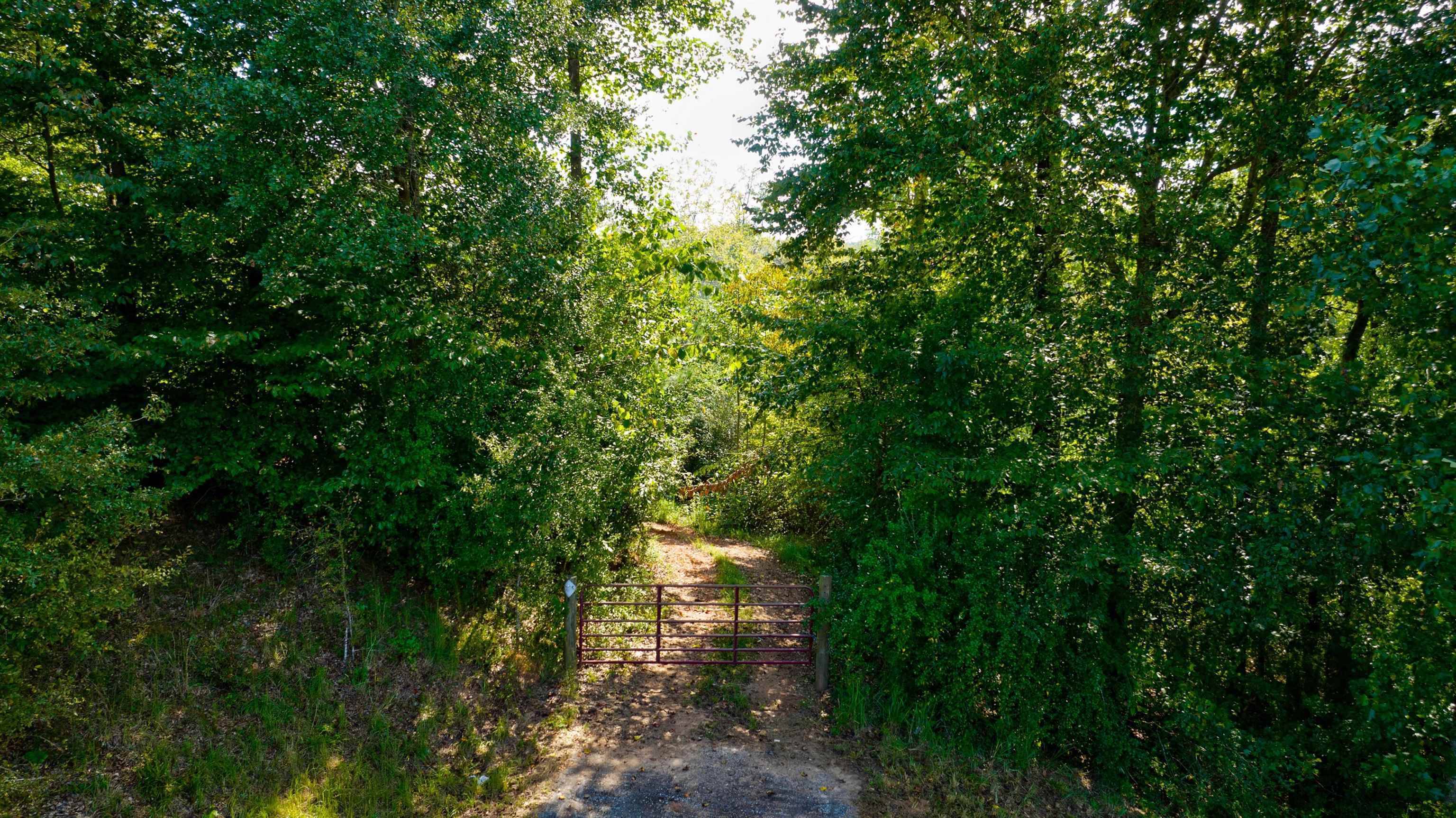 Homer, GA 30547,0 Mccoy Bridge RD