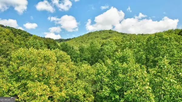 Ellijay, GA 30540,LOT 20 Big Ben Road