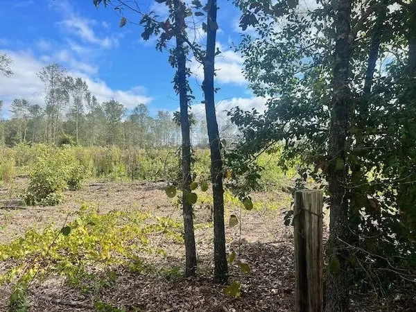 Warthen, GA 31094,LOT 1 S Sparta Davisboro RD
