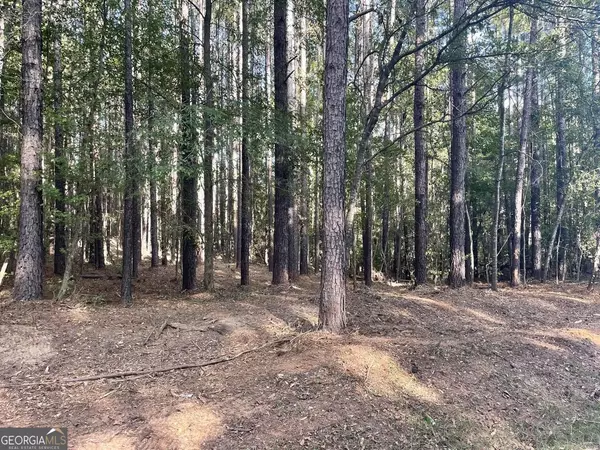 Juliette, GA 31046,1283 Klopfer RD