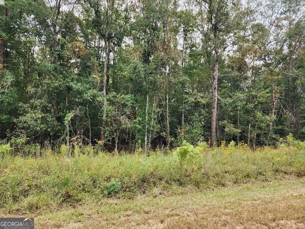 Cusseta, GA 31805,0 Riverbend RD