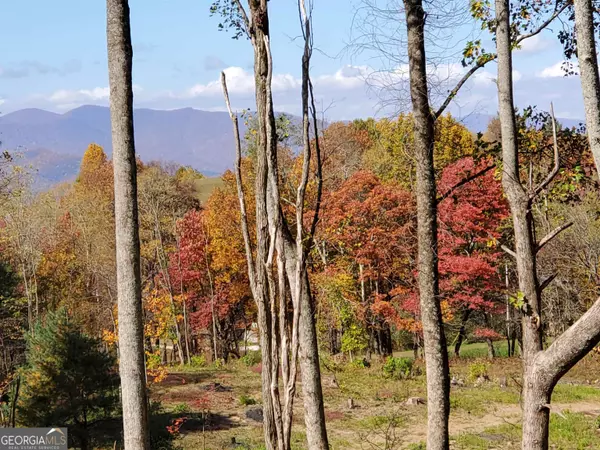 Scaly Mountain, NC 28775,000 High Meadows