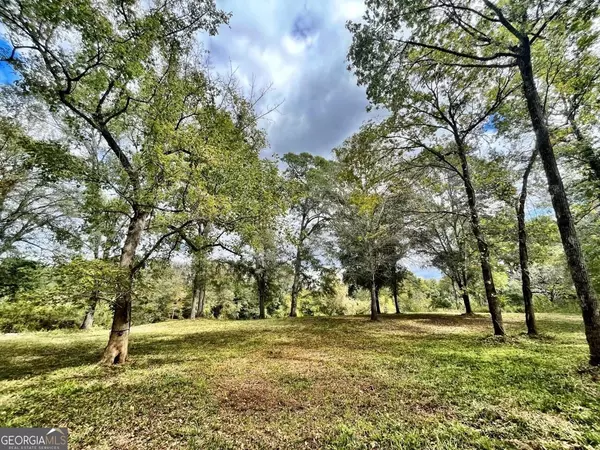 Juliette, GA 31046,0 Turkey Run RD
