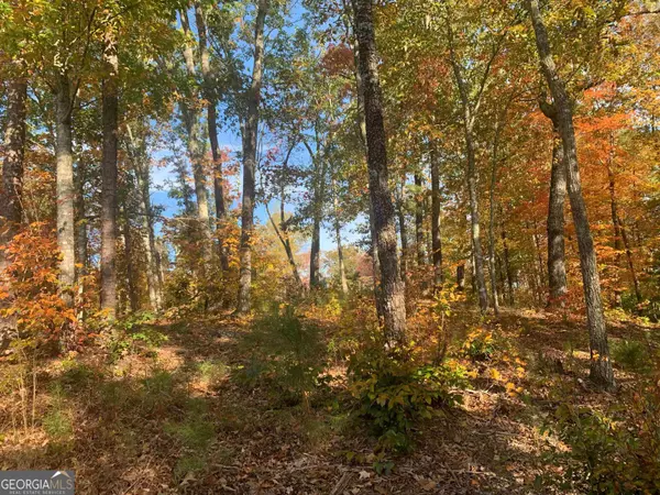 Ellijay, GA 30540,LOT 46 Foxridge