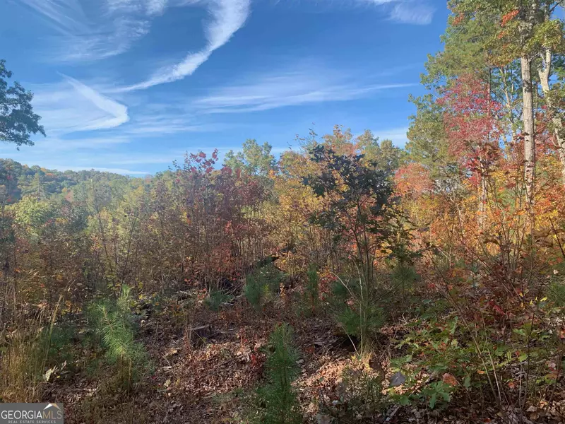 LOT 46 Foxridge, Ellijay, GA 30540