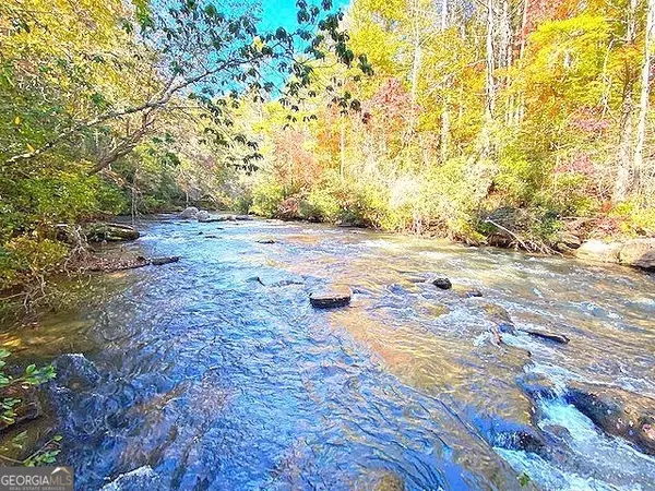 Dawsonville, GA 30534,0X Pink Williams Road, #124ac