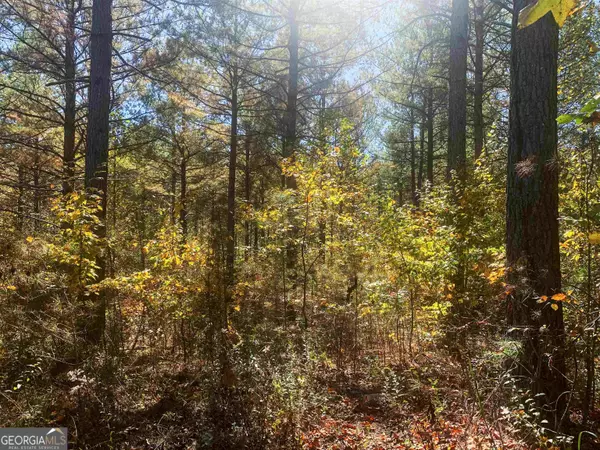 Ellijay, GA 30540,10 Eastview TRL