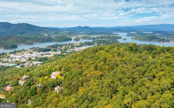 Hiawassee, GA 30546,14.418 ACRES Main Street