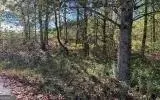 Young Harris, GA 30582,TR 1 & 2 Holland Drive