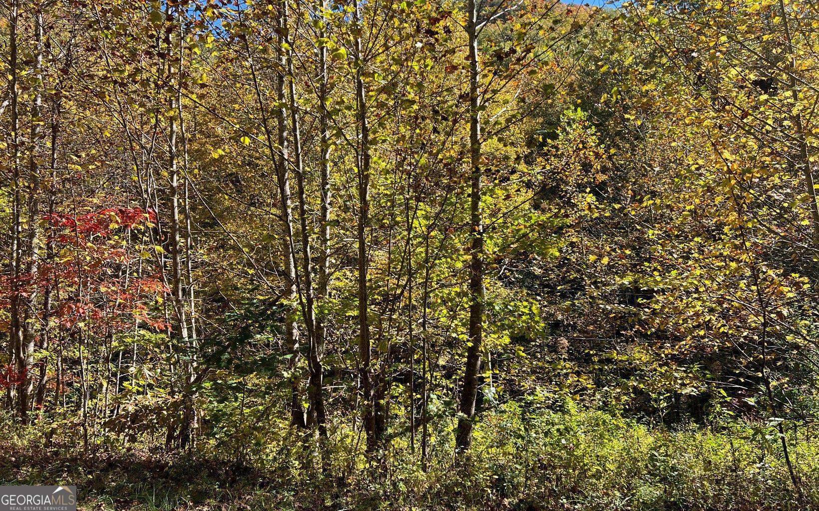 Hayesville, NC 28904,4 AC Tusquittee Road