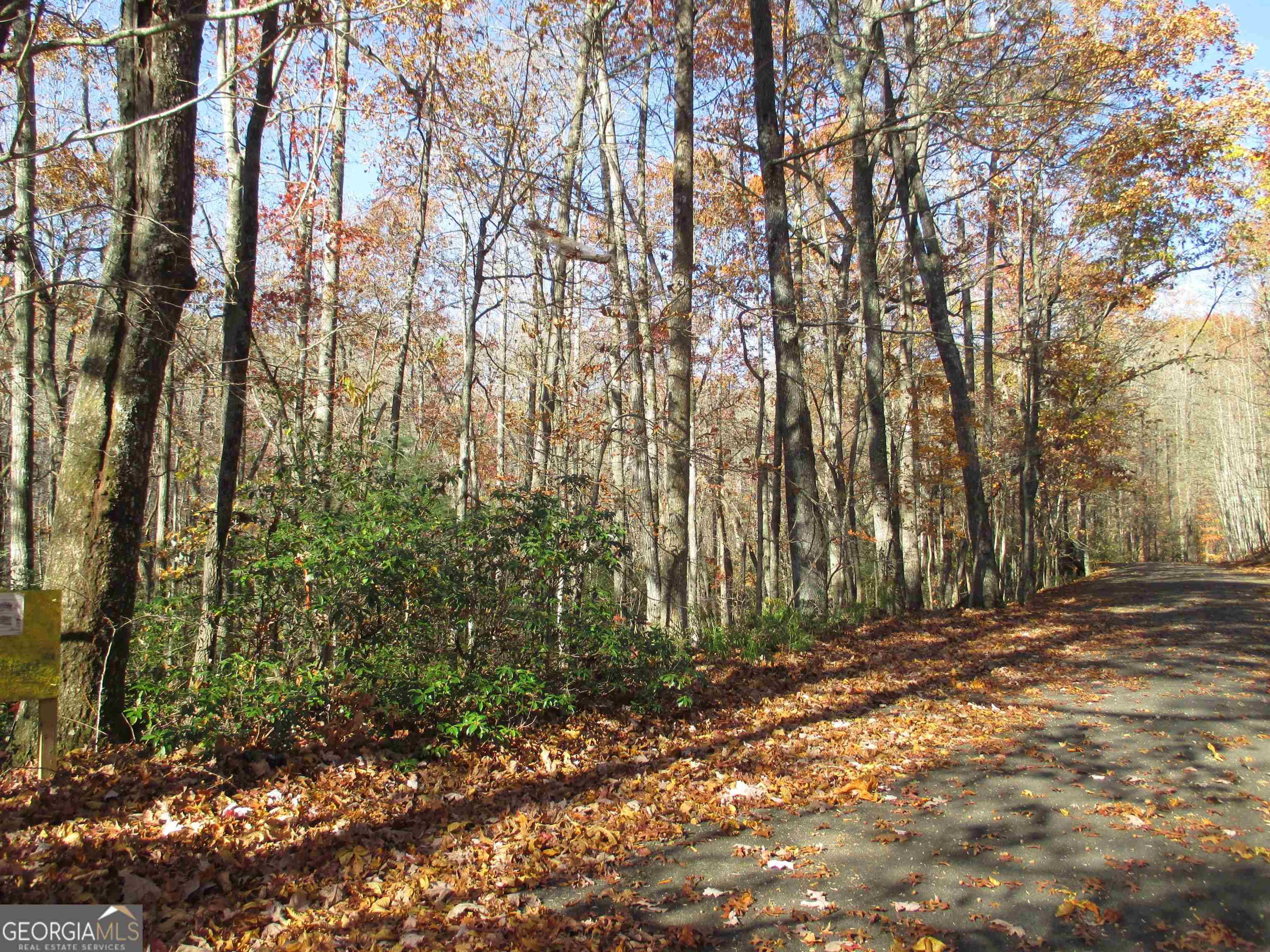 Jasper, GA 30143,TRACT 143 Huckleberry Cove RD