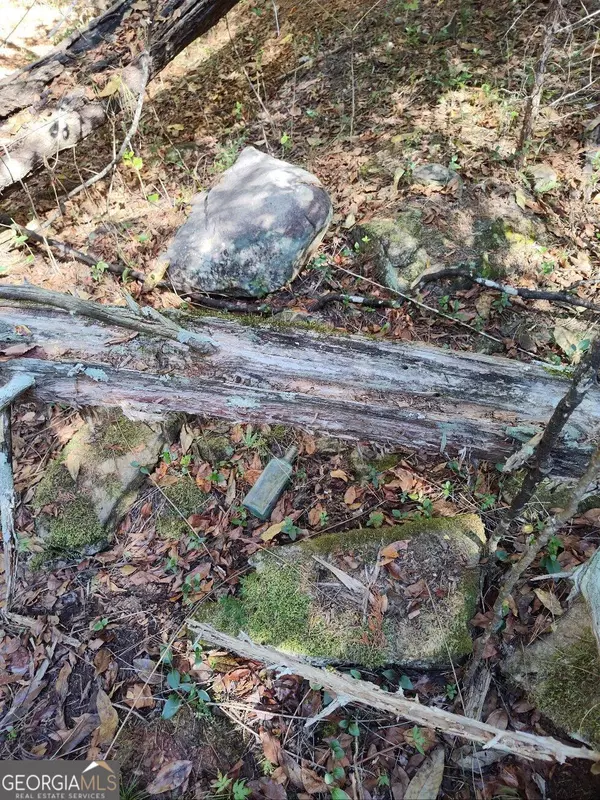 Elberton, GA 30635,0 Old Middleton RD