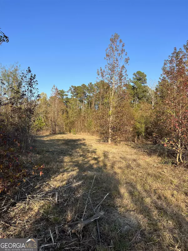 Crawfordville, GA 30631,0 Lower Mill RD