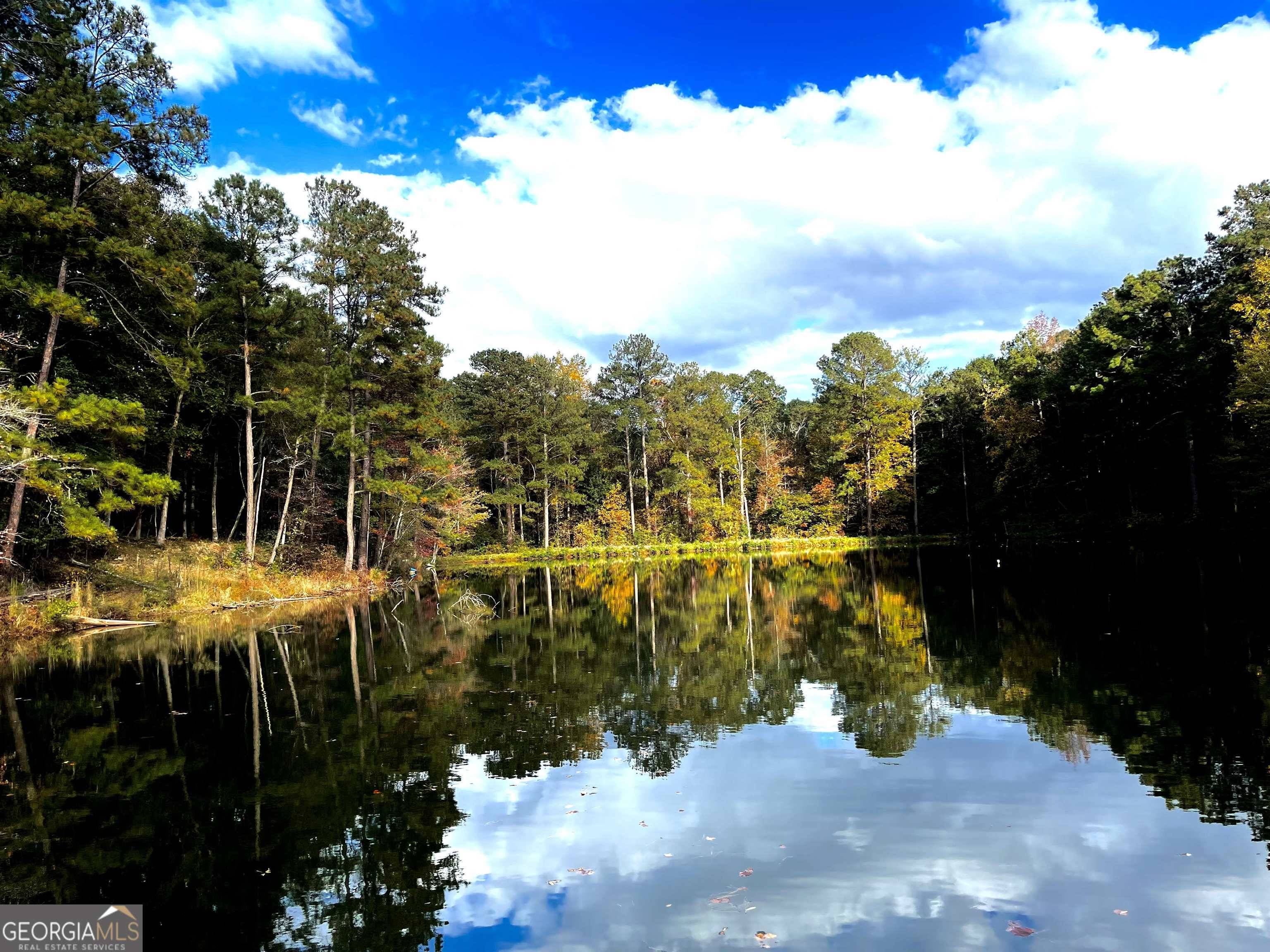 Covington, GA 30016,3785 Highway 162