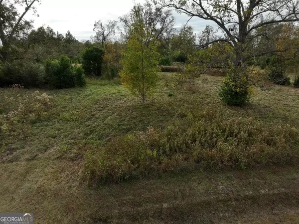 Pelham, GA 31779,0 Rawls ST SE