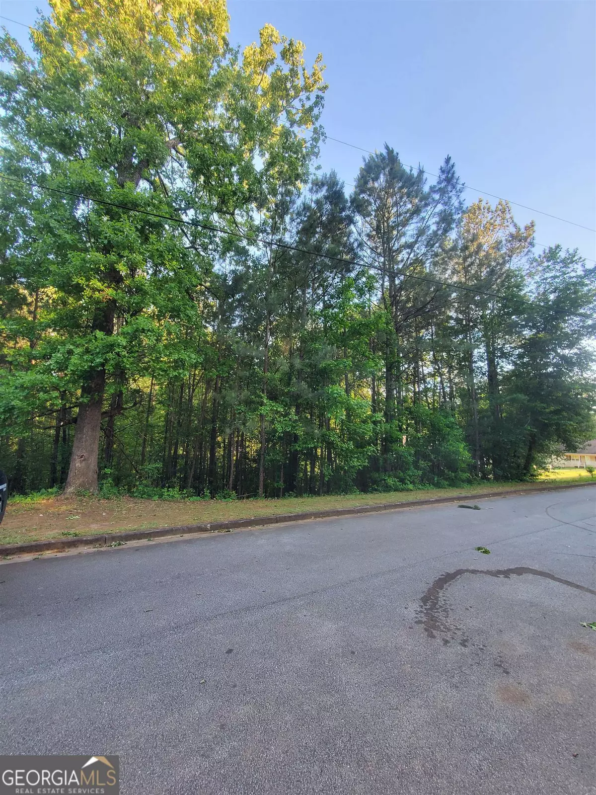 Stockbridge, GA 30281,COWAN Cowan Trl