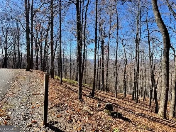 Cleveland, GA 30528,LOT # 30 Mountainside