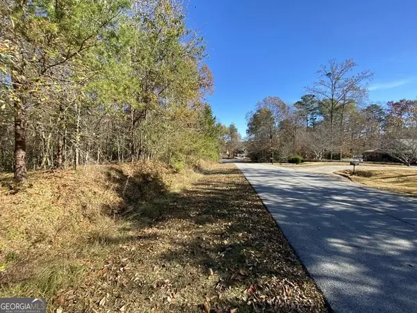 Martin, GA 30557,113 Peninsula