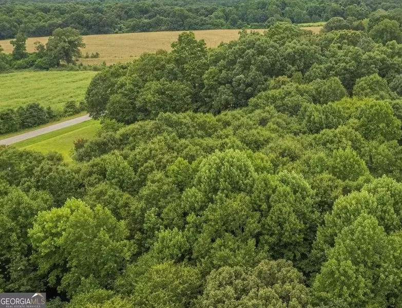 LOT 1 Rock Pillar RD, Carnesville, GA 30521