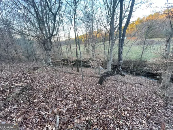 Woodland, AL 36280,0 County Road 102