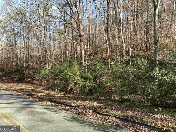 Toccoa, GA 30577,206 Henderson Falls Rd - 2.67 Ac