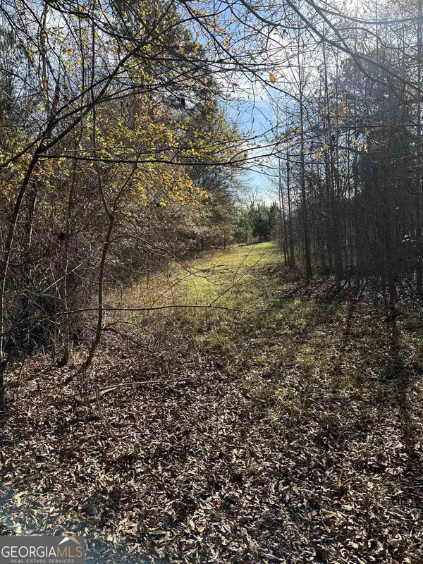 0 Sandy Cross Rd ST, Crawfordville, GA 30631