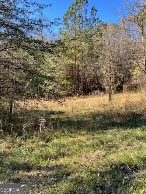 Lavonia, GA 30553,0 Andrews Subdivision RD