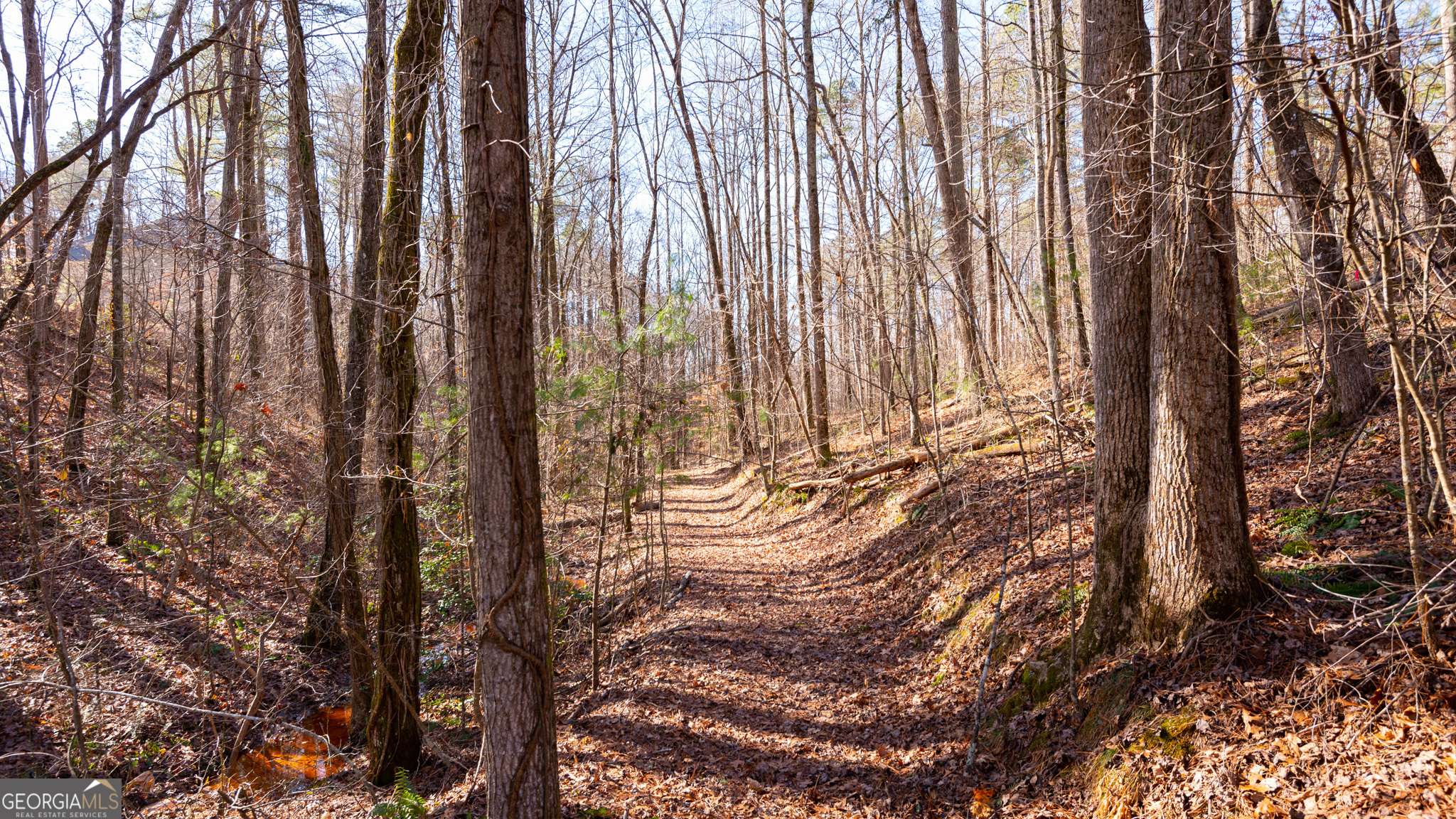 Talking Rock, GA 30175,96 & 97 Mountain Creek Hollow HOLW