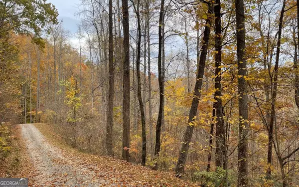 Hayesville, NC 28904,LOT 5A Ann's Lane