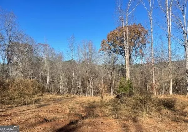 Macon, GA 31220,162 Irongate