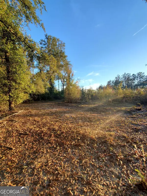 Portal, GA 30450,0 Grady Saunders RD